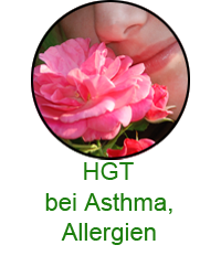 Asthma, Allergien